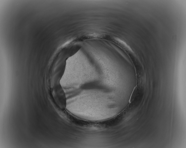 X0000086290736200704201922