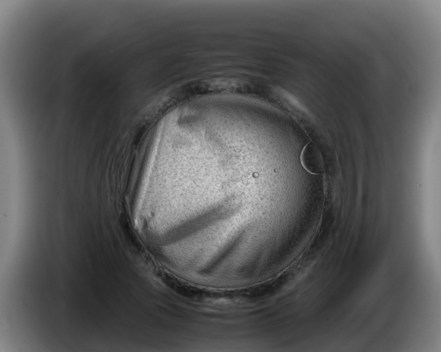 X0000086290737200704201922