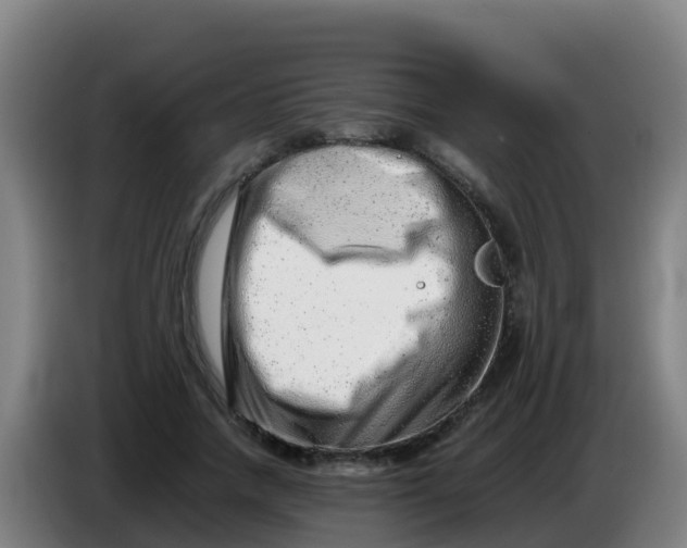 X0000086290738200704201922