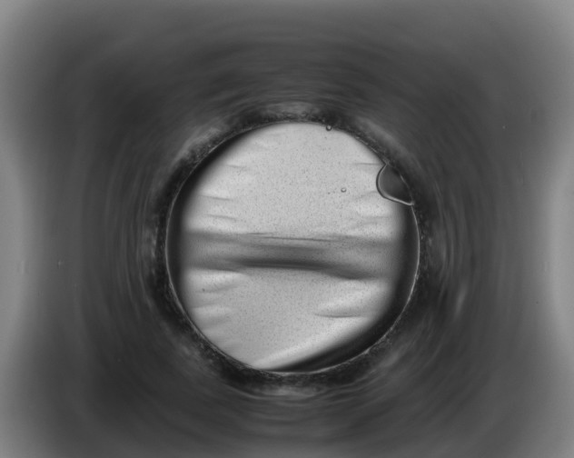 X0000086290739200704201922