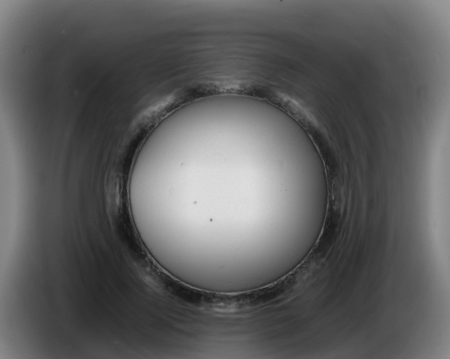 X0000086290740200704201922