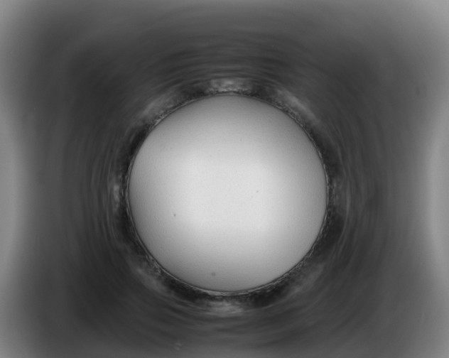 X0000086290741200704201922