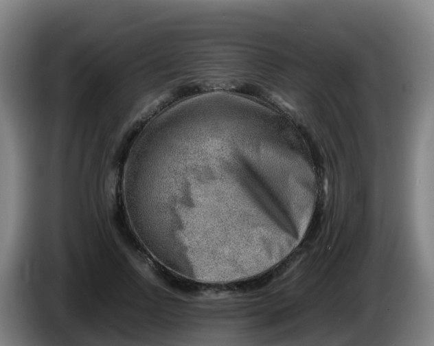 X0000086290742200704201922