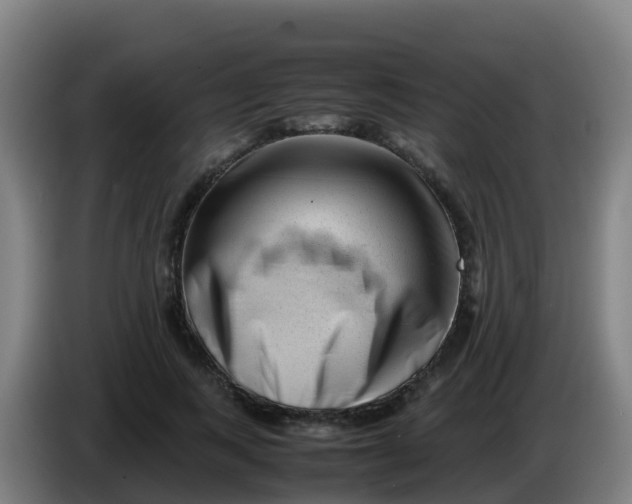 X0000086290743200704201922
