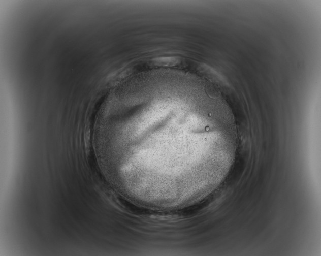 X0000086290745200704201922
