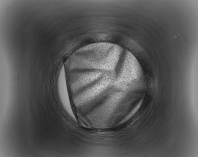 X0000086290746200704201922