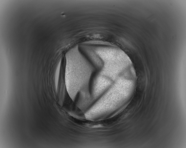 X0000086290747200704201923