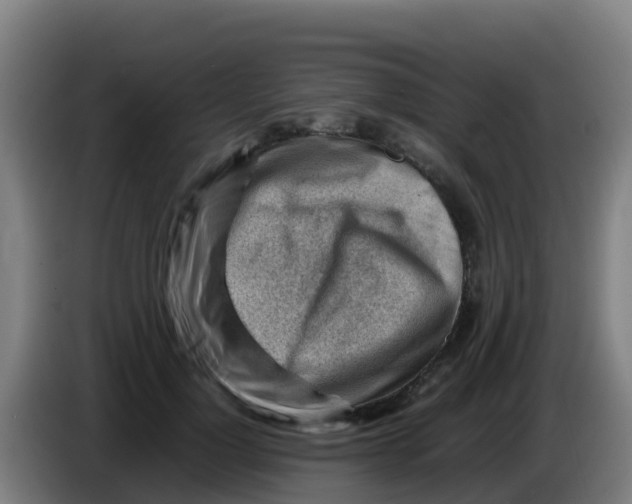 X0000086290748200704201923