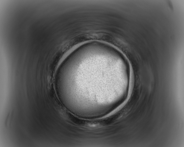 X0000086290749200704201923