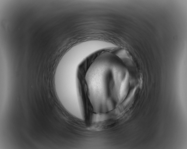 X0000086290750200704201923