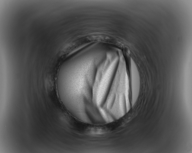 X0000086290751200704201923