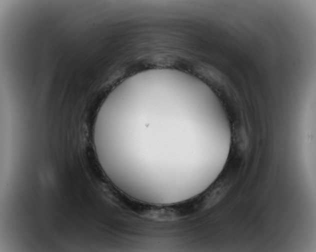 X0000086290752200704201923