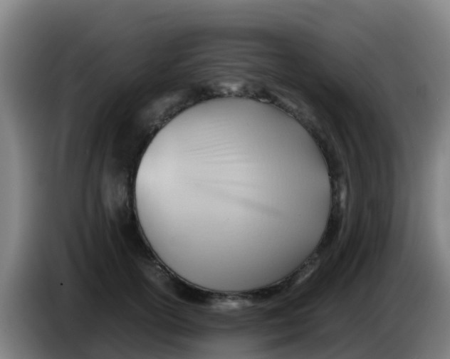 X0000086290754200704201923