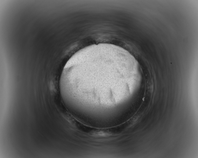 X0000086290755200704201923