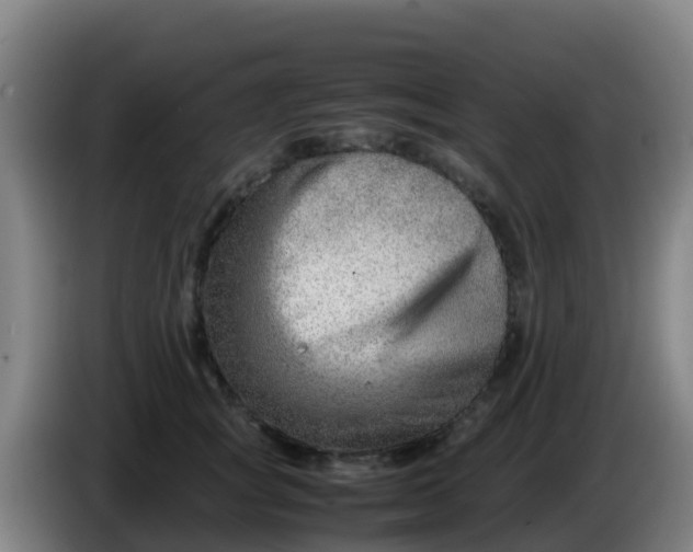 X0000086290757200704201923