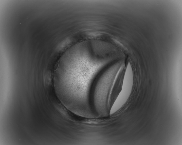 X0000086290758200704201923