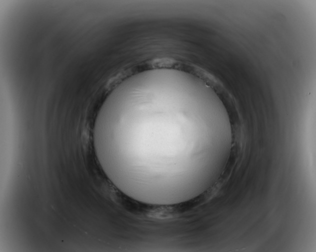 X0000086290761200704201923