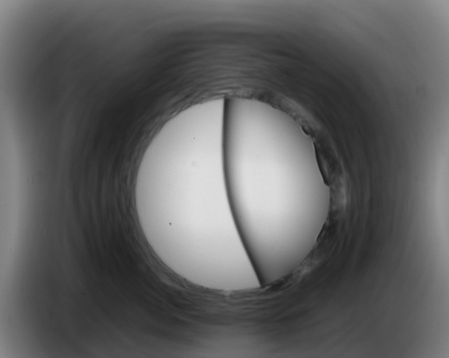 X0000086290764200704201923
