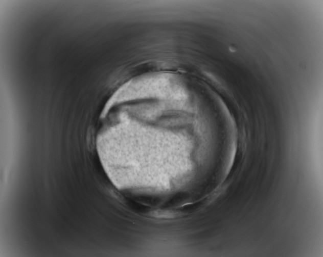 X0000086290766200704201923