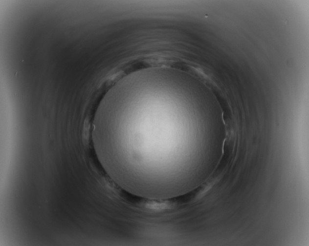 X0000086290767200704201923