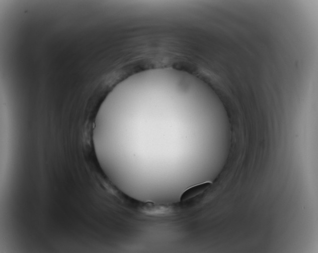 X0000086290768200704201923