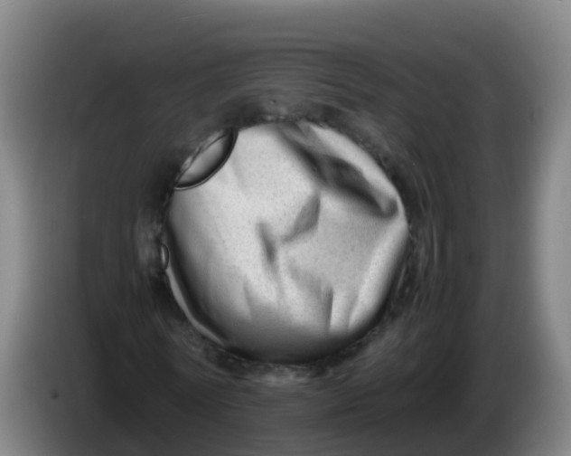 X0000086290770200704201922