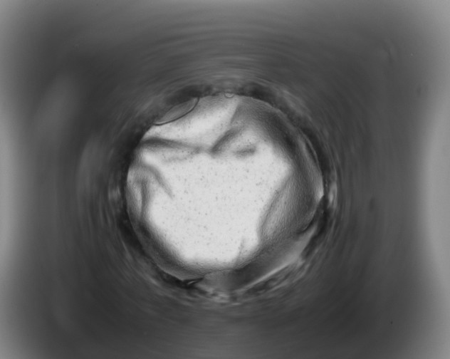 X0000086290771200704201922
