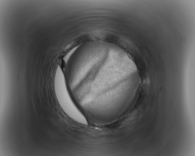 X0000086290772200704201922
