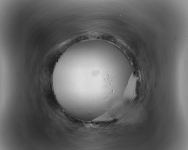 X0000086290773200704201922