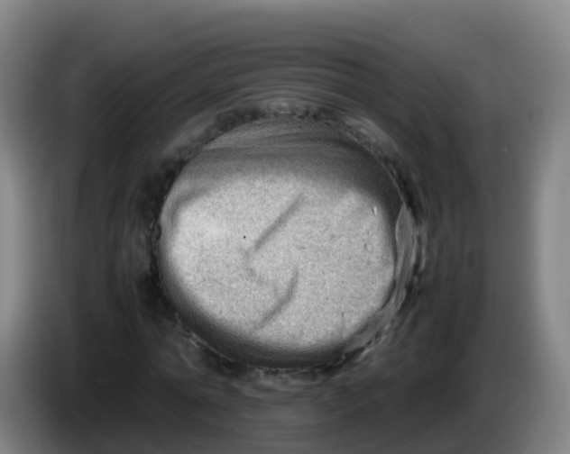 X0000086290774200704201922