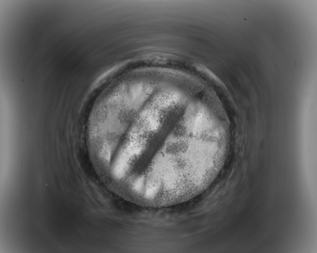 X0000086290775200704201922