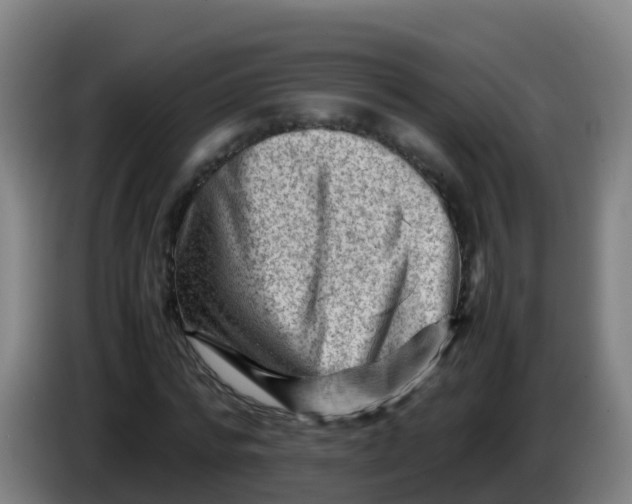 X0000086290776200704201922