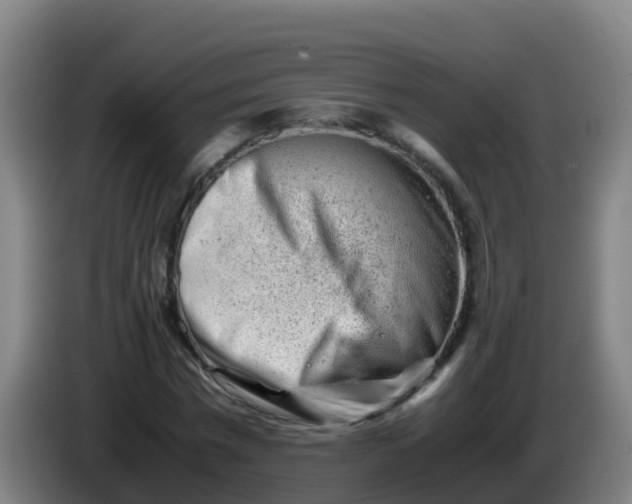 X0000086290777200704201922