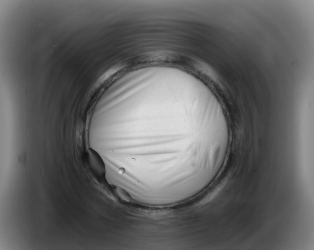X0000086290778200704201922