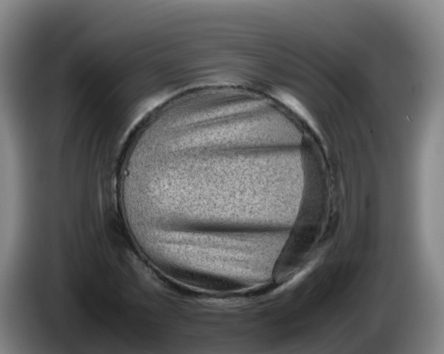 X0000086290781200704201922