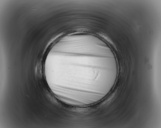 X0000086290782200704201922