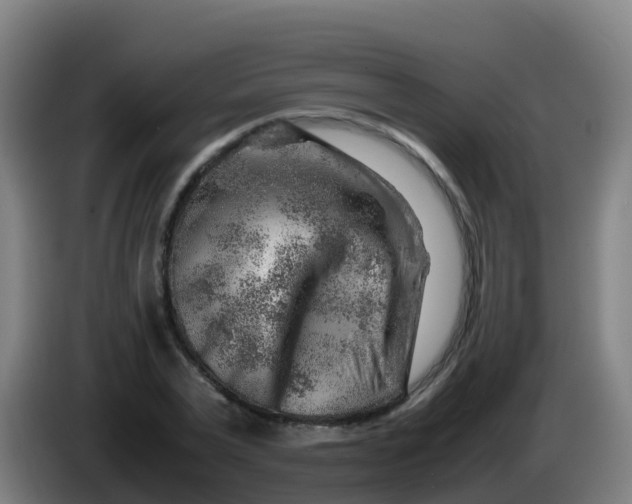 X0000086290783200704201922
