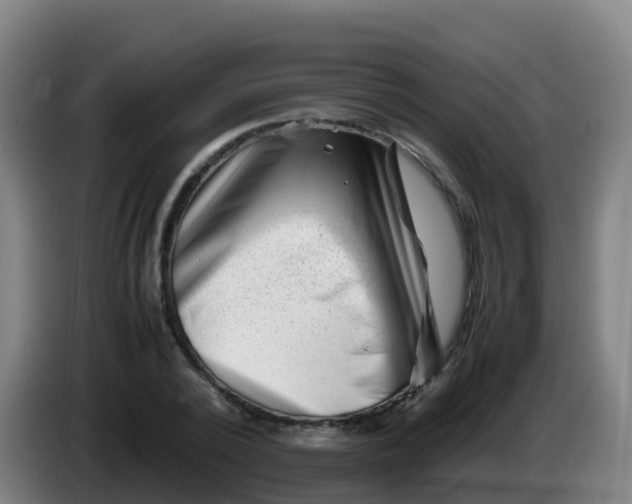 X0000086290784200704201922