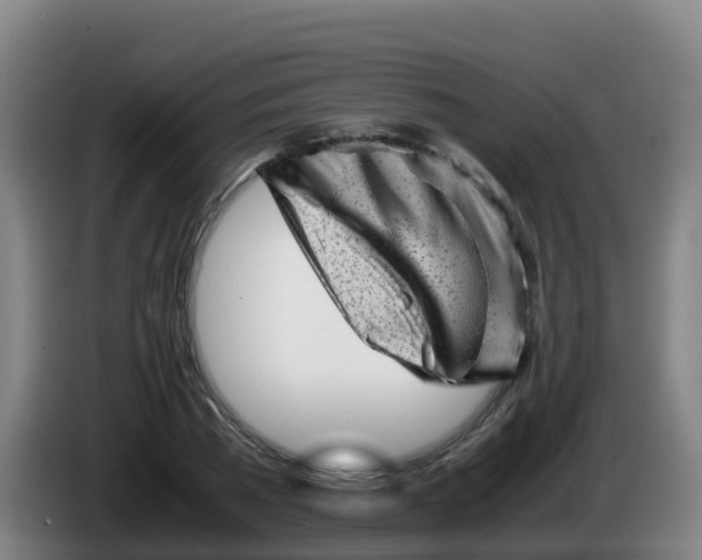 X0000086290785200704201922