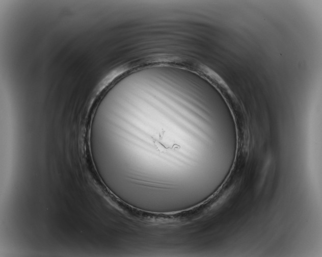 X0000086290786200704201922