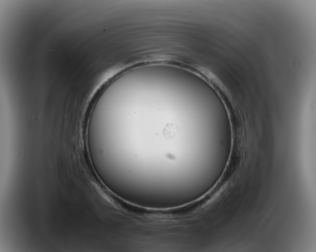 X0000086290789200704201922