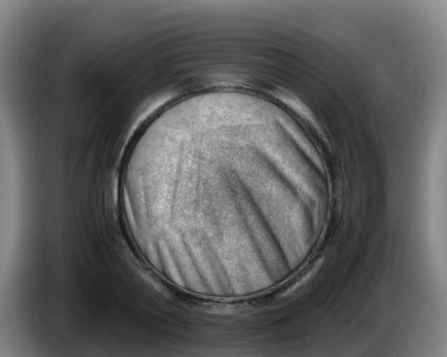 X0000086290790200704201922