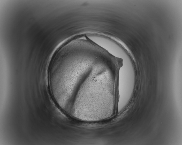 X0000086290791200704201922