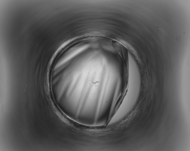 X0000086290792200704201922