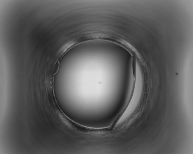 X0000086290793200704201922