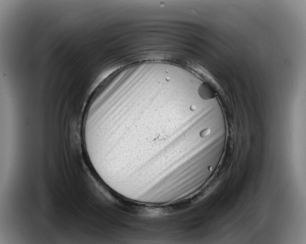 X0000086290794200704201922