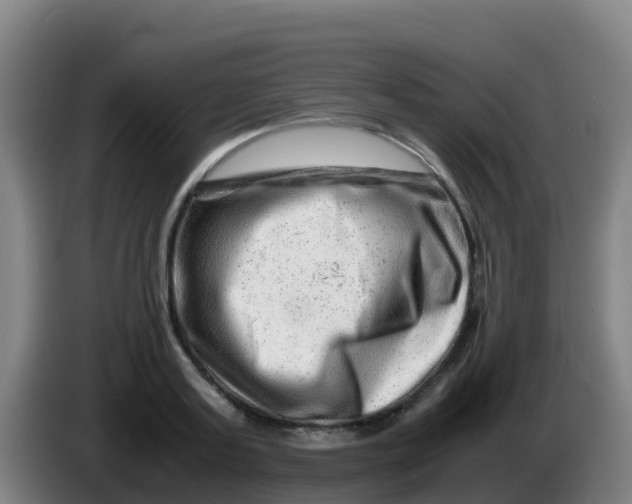 X0000086290795200704201922