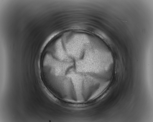 X0000086290796200704201922