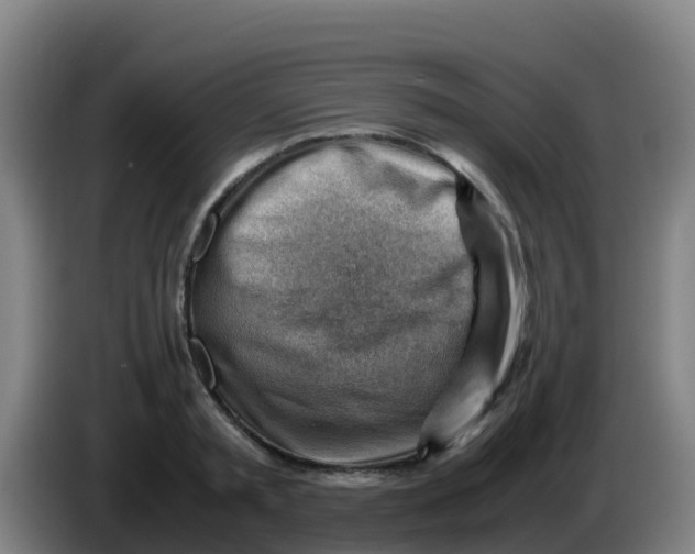 X0000086290797200704201922