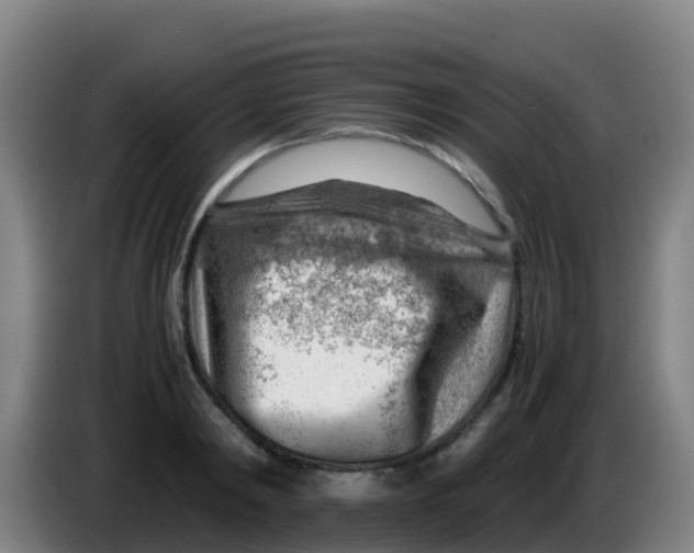 X0000086290798200704201922